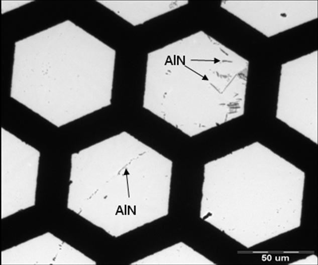 For the B-Ti containing steel 2, AlN was not detected at the austenite grain boundaries or within the grain interior.