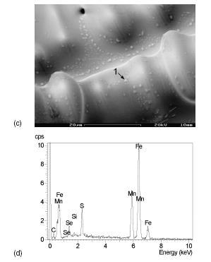 Fig.2.32 Fracture surface and EDX analyses of Fe-16%Mn-0.
