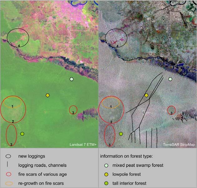 2 Technical information on TerraSAR-X A first impression of the TerraSAR-X image content and the separability of the different forest classes and degradation levels is shown below, illustrating the