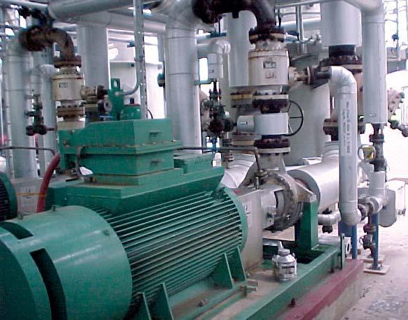 ERPN API 10 Overhung End Suction Process Pump The ERPN is the pump of choice for severe chemical, petrochemical, refining and heavy