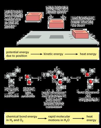 Energy can be transformed from one type to another Any object lifted upwards gains in gravitational potential energy.