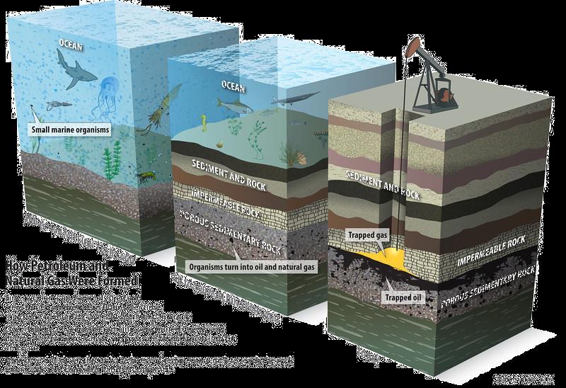 Fossil Fuels Oil and Gas Oil and gas were formed many millions of years ago from dead sea organisms falling to the