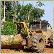 TFLET Activites: Strengthening forest governance (45%) Support international trade in legal and