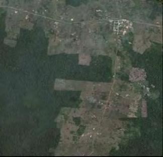 and Landsat 5 (30 m)