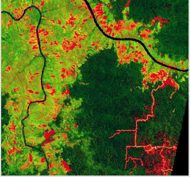 Environmental Challenges in Global Era: Deforestation Lisa Curran research Indonesia has the world's largest deforestation