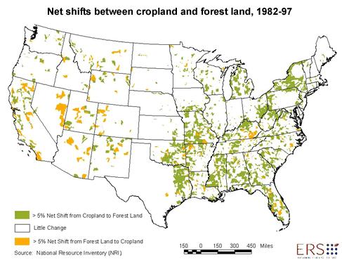 In the South, rural land shifts between forest and