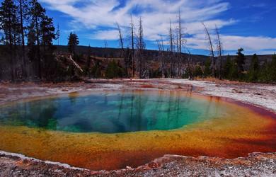 Morning Glory Pool: Yellowstone the habitat for Thermus aquaticus.
