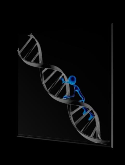 Known DNA sequences