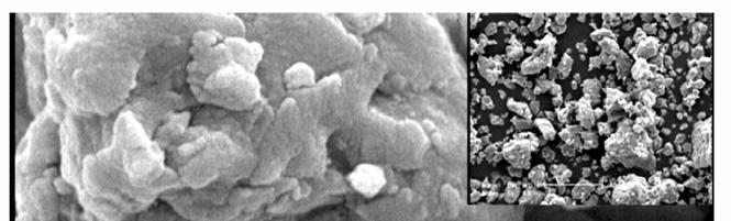 AUSTENITE-MARTENSITE TRANSFORMATION 99 Figure 2. SEM image of AISI316L stainless steel after 60h ball milling. Hardness changing is shown with a curve in Figure 3.