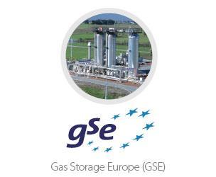 About GIE GIE is the umbrella organization for its three subdivisions: GTE Gas Transmission Europe representing Transmission System Operators