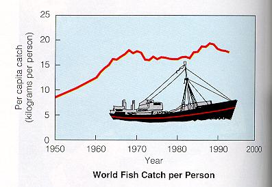coming mostly from an increase in marine catch since