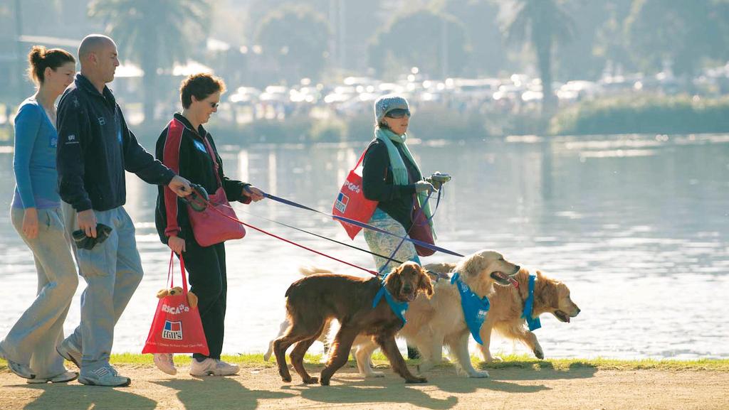 About our Million Paws Walk Introduced in 1996, our Million Paws Walk has grown to become one of Australia s most wellloved and popular community events.