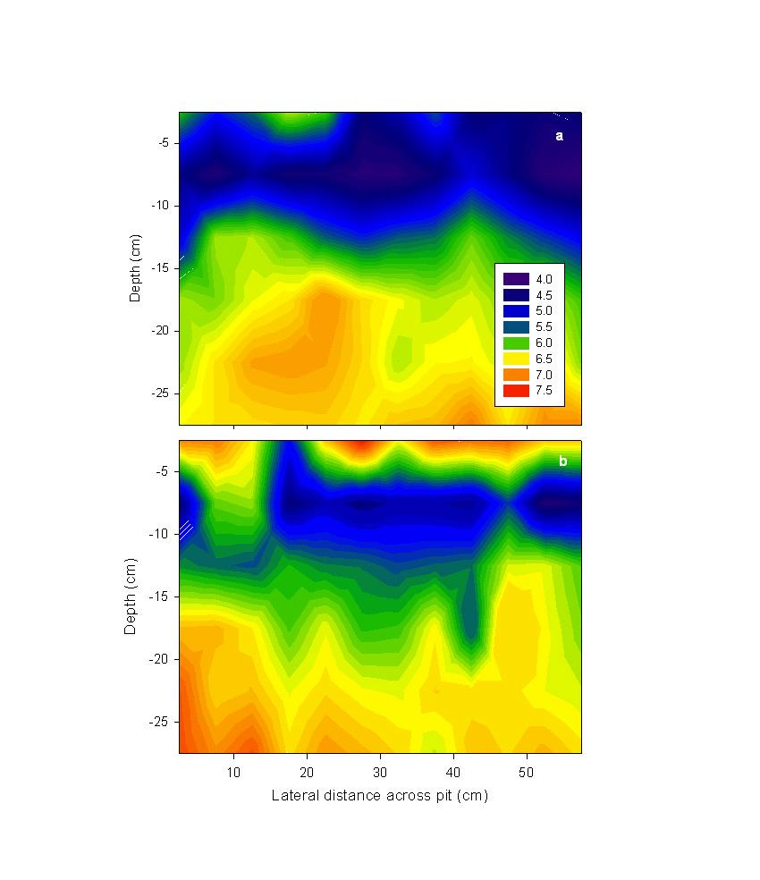 Figure 4. Color contour plots showing the spatial variability of soil with depth and distance across a 60-cm pit. Plot a is a control treatment while plot b is a broadcast lime treatment.