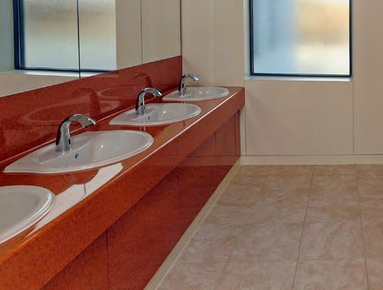 by your project. Mirrors can be supplied along with Options Service Concealment Systems.