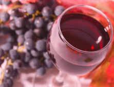 3 Applications Fruit juice Wine Beer As diverse as pome fruit, stone fruit, berries und tropical fruit may be they have in common a demand for high efficiency clarification steps, which are state of