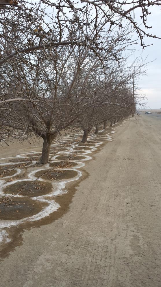 Spend some time to improve distribution uniformity in orchard Concluding Thoughts Be careful with too salty of water