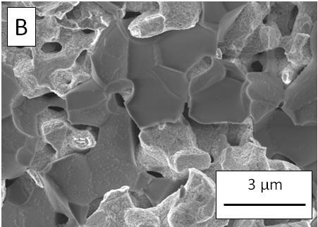 cells) and, B.) Ni-BZCYYb-0 anode microstructure after reduction in hydrogen at 750 o C for 2 hours.