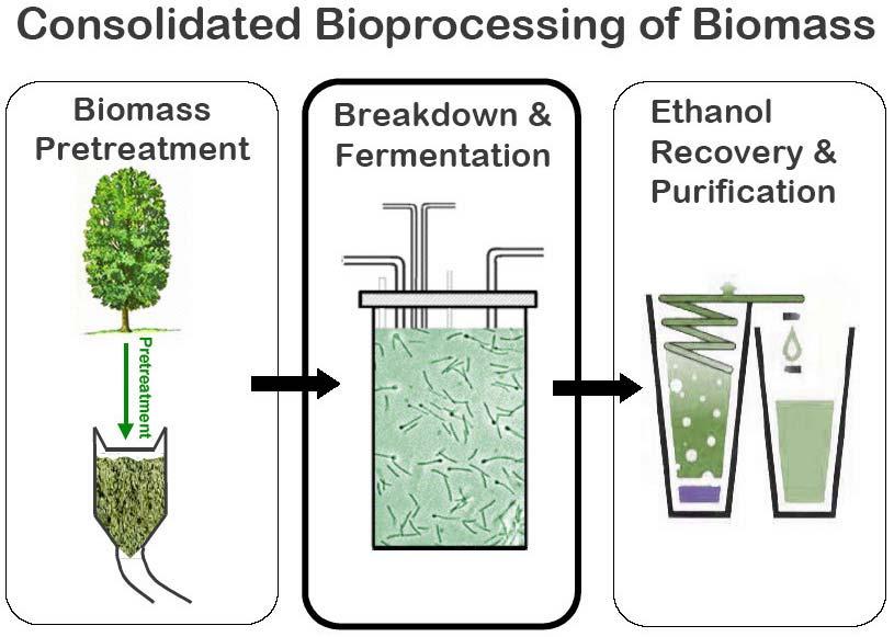 Cellulosic Ethanol Technologies Q Microbe C3 Technology Enzyme DOE production, Biofuels Roadmap: cellulose The breakdown,