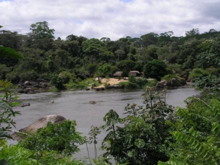 Suruí REDD Project - Deforestation Dynamics Illegal