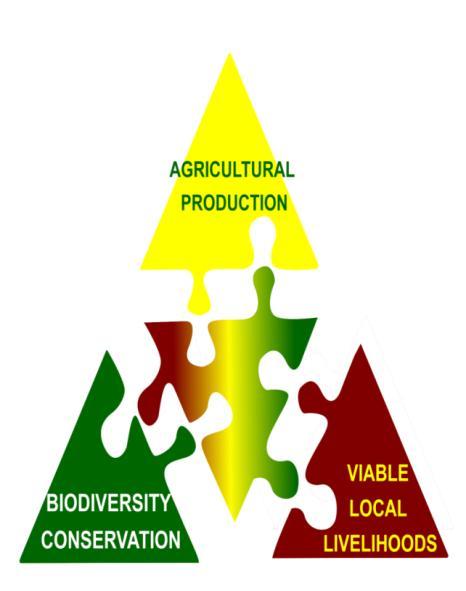 biodiversity and ecosystem services; and