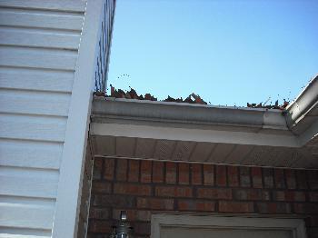 1. Roof Condition Materials: asphalt shingles Appeared serviceable Roof 2. Chimney 3. Gutter Appeared serviceable Clean Gutters Debris had accumulated in one or more gutters.