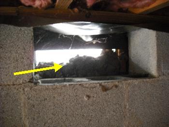 1. Ventilation Crawlspace 2. Vent Screens restricted 3. Access Panel restricted 4. Ducting 5.