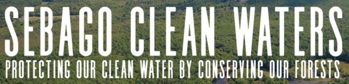 REQUEST FOR CONSULTANCY JUNE 1, 2018 PORTLAND, MAINE Sebago Clean Waters is an innovative new initiative that seeks to accelerate the pace of forest conservation and water protection in the Sebago