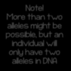genotype Note!