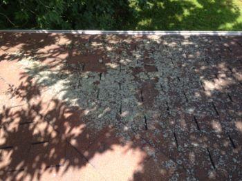 1. Roof Condition Garage Materials: Roof is beyond its intended service life Materials: Asphalt shingles noted. No major system safety or function concerns noted at time of inspection. Moss on roof.