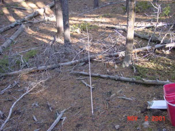 Forest Type: Lodgepole Pine Fuels Class: High Number of Plots: 27 Number of Plots: 7 1 % 9383 ft Diameter Class Total Sound Rotten "-.24".2 -- --.2"-.99".3 -- -- 1"-2.99" 7.3 -- -- 3" + 18.3 9.8 8.
