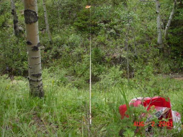 Forest Type: Quaking Aspen Fuels Class: Low Number of Plots: 1 Number of Plots: 3 11 % 992 ft Diameter Class Total Sound Rotten "-.24".9 -- --.2"-.99" 1.2 -- -- 1"-2.99" -- -- 3" + Plot Total 2.1 2.