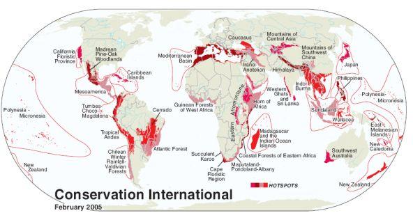 Ecological hotspots Area must contain 1500 species of native vascular plants And it must have at least