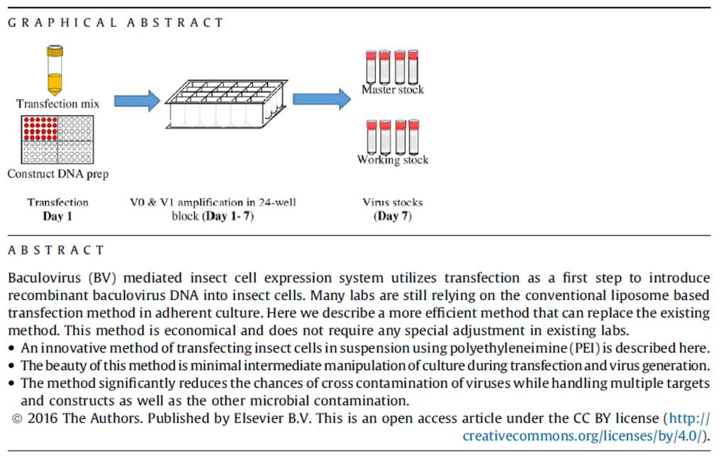 Further readings: Please go through following article for hassle free Transfection Roest et al.