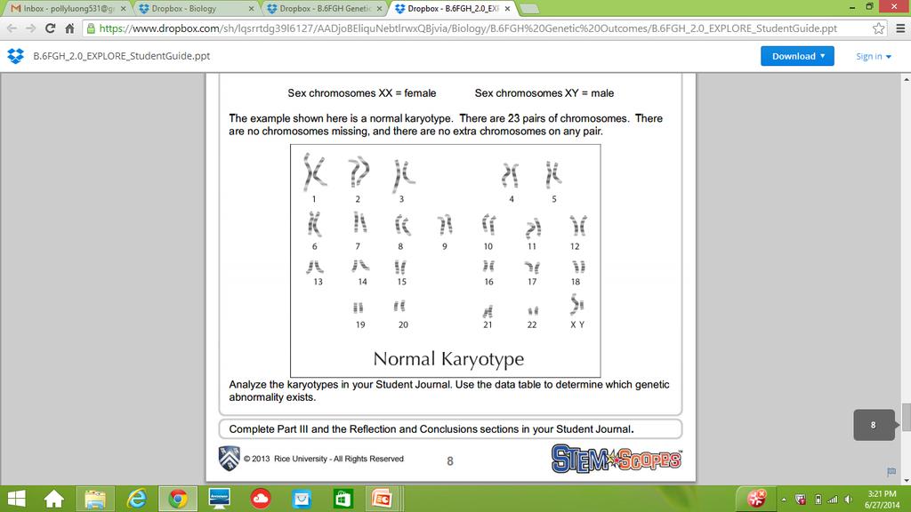 Part V: Karyotyping A karyotype is a map of an organism s chromosomes. Chromosomes are extracted from an organism s cells and then stained.