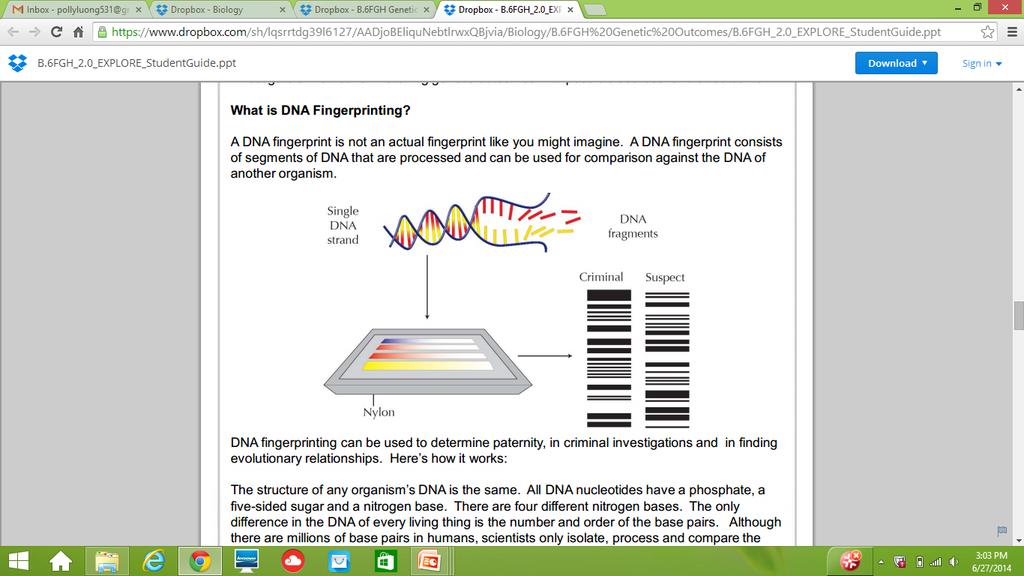 Part IV: DNA Fingerprinting In Part I, you explored how to predict genetic outcomes using Punnett Squares.