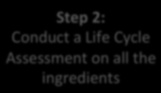 Step 2: Conduct a Life Cycle