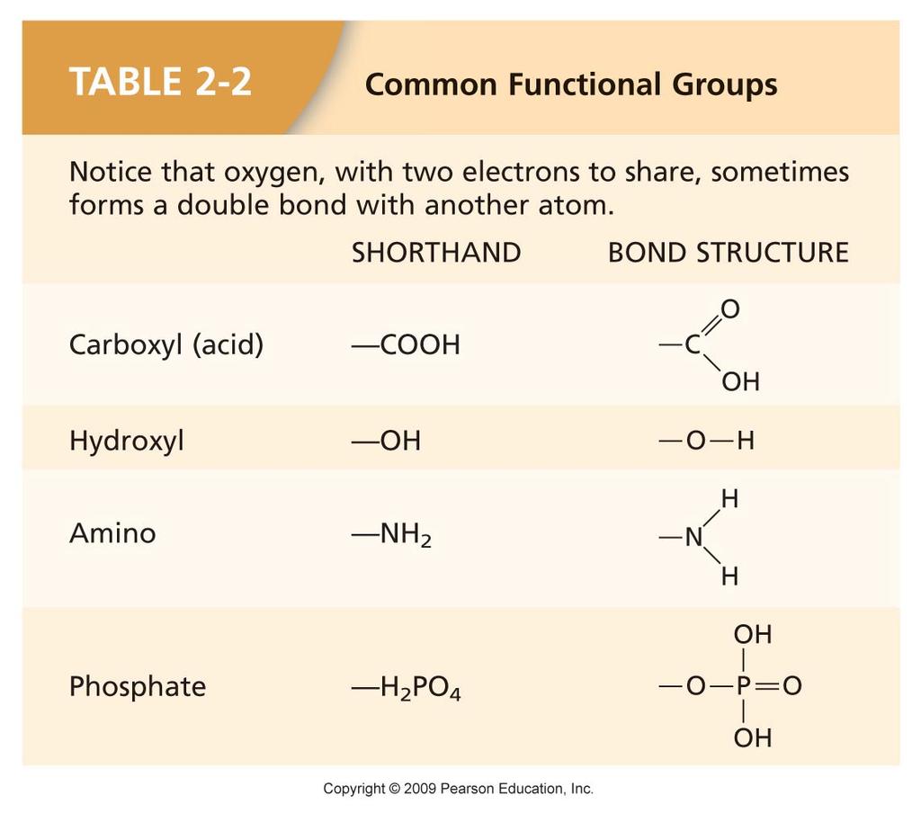 Functional groups are