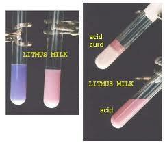 of acids Lowering ph is detected by methyl red indicator e- Voges proskaur s reaction