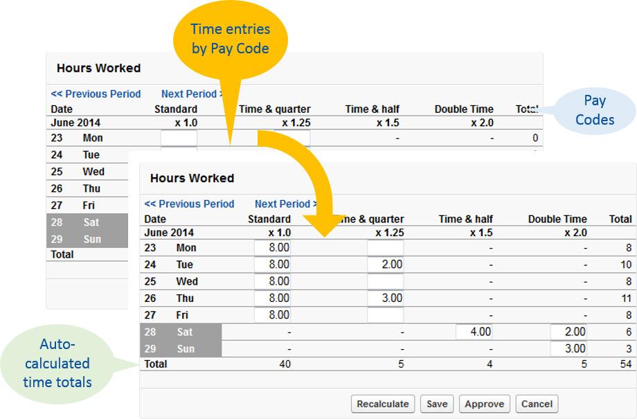 Timesheets Introduction Time Reporting by Pay Code Timesheets display boxes for time entry for each Pay Code against each day. The Team Member decides how much time to enter in each box.