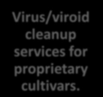 Virus/viroid cleanup services for