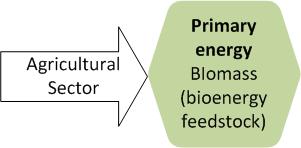 Bioenergy: From Production to