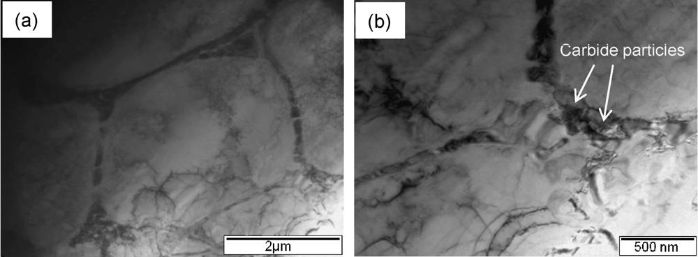 TEM images of (a) dendritic carbide structure and (b) enlarged image of (a). 3.2. Nanostructured SKD11 fabricated by the combination of the laser melting and the FSP Fig.