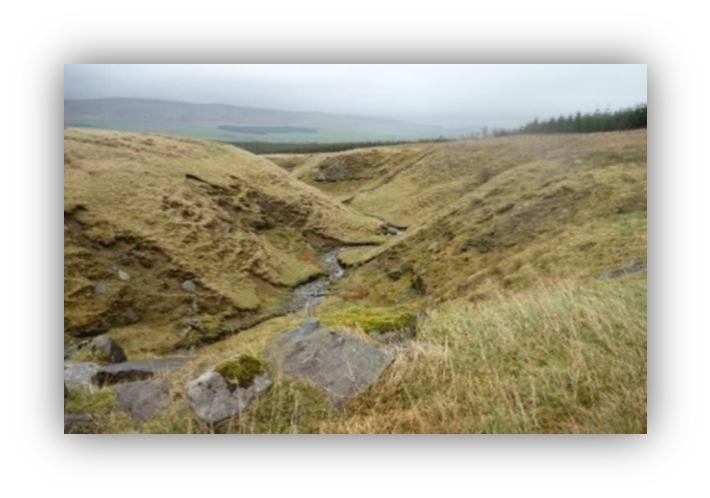 9.3 To address Halcrow s (on behalf of the Scottish Government) concerns relating to peat slide risk the Applicant carried out more detailed peat probe investigations along the proposed access tracks