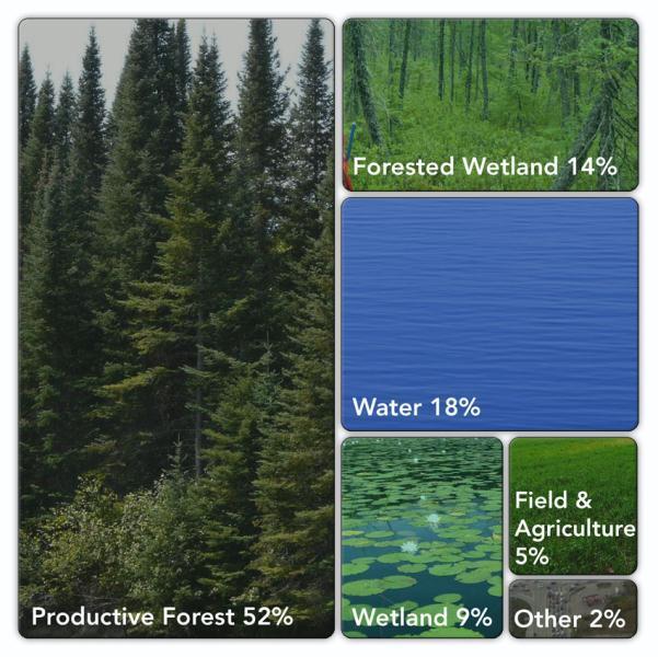 Ontario s Forest Resource - Overview Ontario = 107.6 million ha Forest = 71.