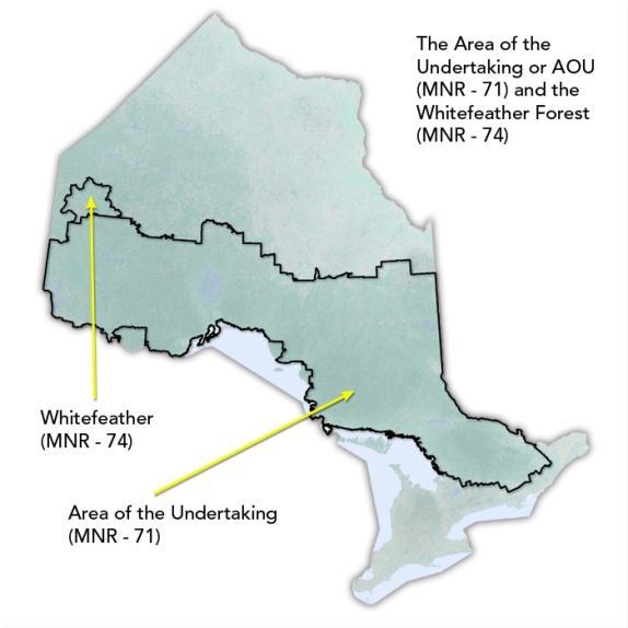 Ontario s Forest Resource - Overview 27.