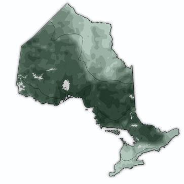 Ontario s Forest Resource Overview Forest management activities defined in the Crown Forest