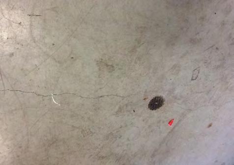 Concession Painted concrete floor is stained and