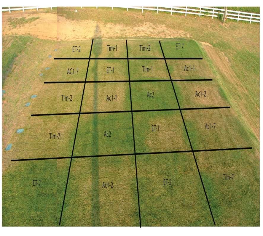 Turf quality of plots in the lower terrace at the end of