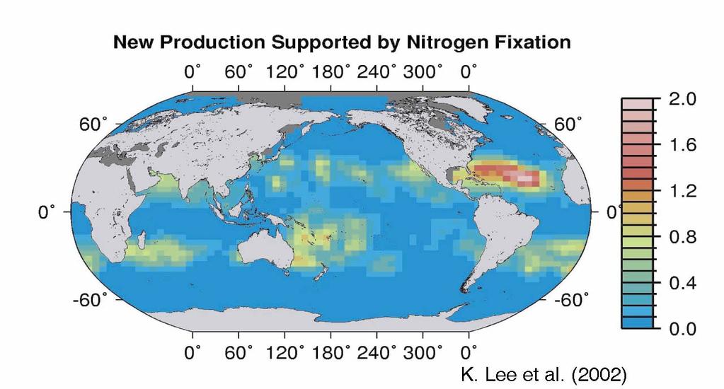 Global estimate of N 2 fixation based on N-DIC drawdown in