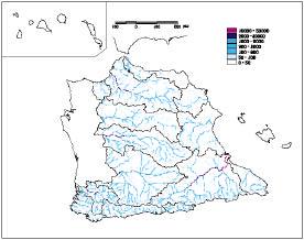 Figure 1: Map of water storage capacity upstream of any point of the hydrological network (Mm 3 ).